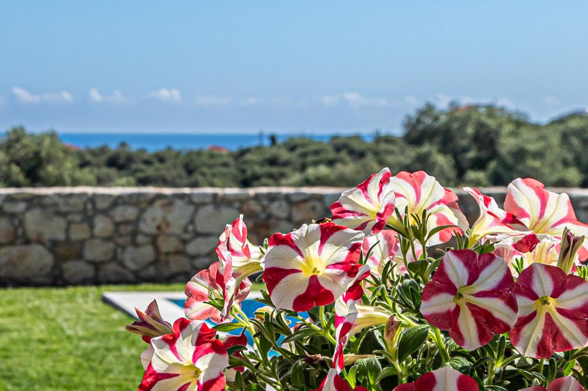 Villa Penelope Galatás Екстериор снимка